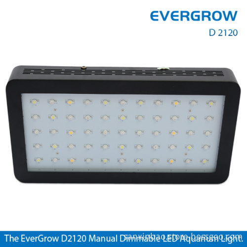 for Fish Tank Programmable LED Aquarium Lighting